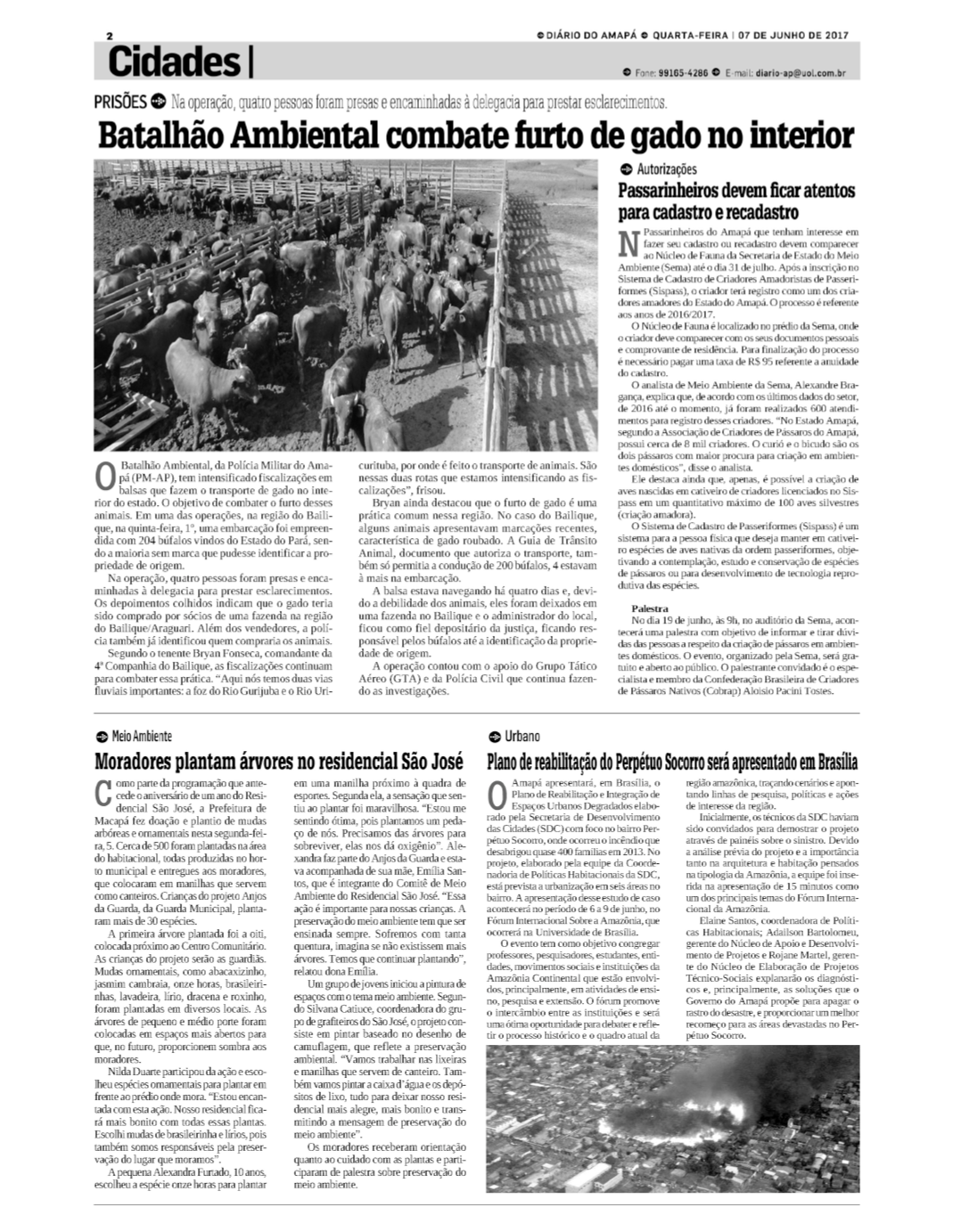 Page Background